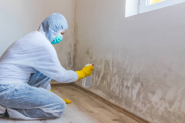 Licensed Commercial Mold Remediation service in Piney Point, MD - WQB Mold Removal