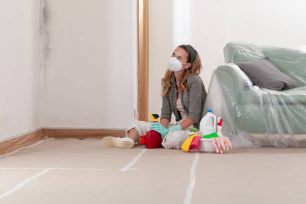 Reliable Commercial Mold Remediation contractor in Piney Point, MD by WQB Mold Removal